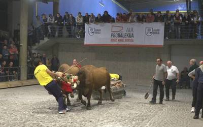 Bi aste barru jokatuko dute Kintopeko XXXI. Idi Txapelketa