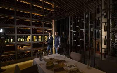 Jaurlaritzak lau milioi euroko laguntza iragarri du mahastizaintzarako