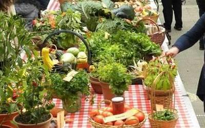 Aurten ere gasna lehiaketa herrikoia Lurraren Egunean