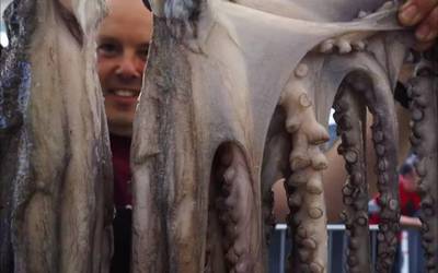 Gaur egingo dute Olagarro Eguneko argazki rallyko sari banaketa ekitaldia