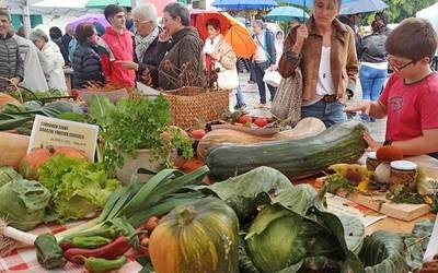 [ARGAZKIAK] Aldaketak aldaketa, giro ederra Berako Lurraren Egunean