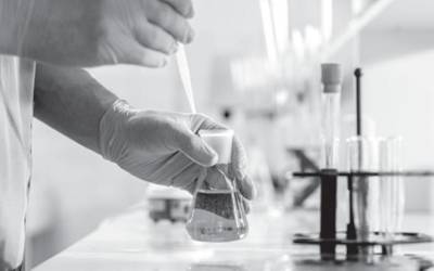 Legearen atzeko ikerketa zientifikoa