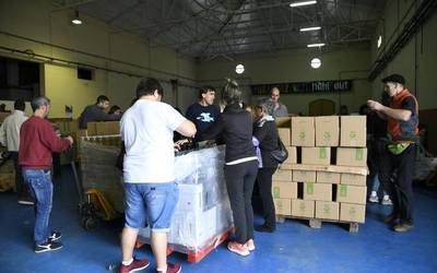 Errigora, udaletako oharrak eta kamioiak zuhaitzak jo zituenekoa