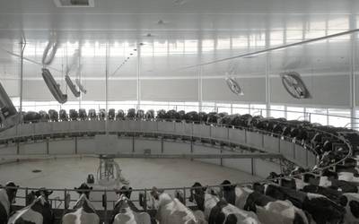 Lorea Flores (Greepeace): "Arrazoi eman digute, baina arinegia da zigorra kaltearekiko"