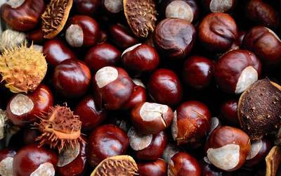 Laura Martinena: "Gaztainak izugarrizko pisua izan du gure aurreko belaunaldietan eta hori berreskuratu nahi dugu"