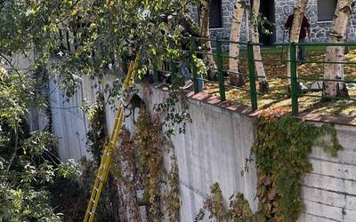 Txakur bat erreskatatu dute suhiltzaileek Aretan, ibaira erori eta gero