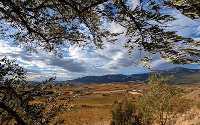 Pilatuko da hodeitza, eta bustiko du