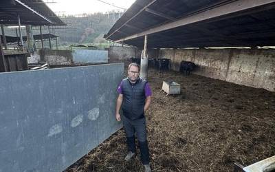 Hil egingo dituzte abelburuak