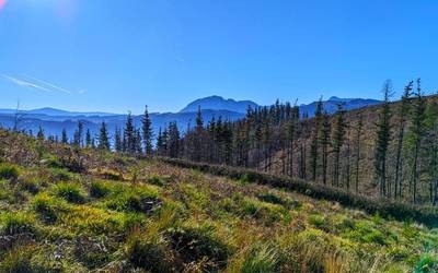 Basalgo parke eolikoaren harira, "eztabaida publikoa eta gardentasuna" eskatu du EH Bilduk