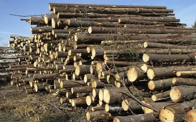 «Hamar egunez Leitzako Zubilaga Saralegi enpresako bi langilek lan istripu larriak» izan dituztela salatu du LABek