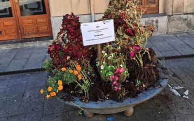 Kaleko loreontzietatik loreak har daitezkeela dioten kartelak jarri dituzte lorezainek