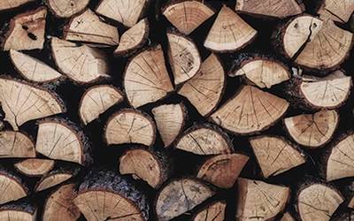 Azaroaren 20an bukatuko da Zubietan heldu den urterako egur loteak eskatzeko epea