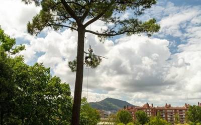 Argazki lehiaketa Artatza parkea defendatzeko