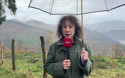 Basalgo parke eolikoaren aurreproiektuak Bergaran aurreikusten ditu hiru haize-errota