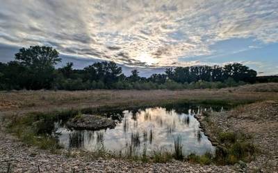 Oasiek ez dute zertan beti naturalak izan