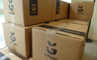 Errigorako kutxak eskatzeko azken egunak