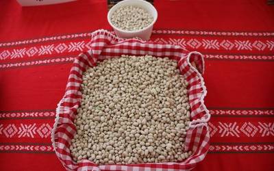 Albistegia: 2025-11-12