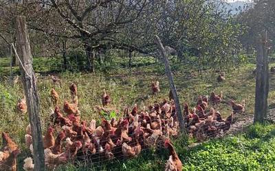 "abereak enzerratzea paranoikoa eta irrazionala da"