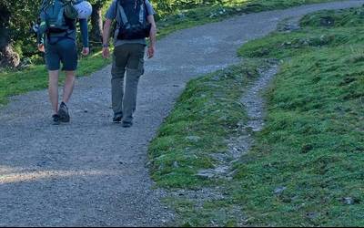 Ibilaldi neuro-osasungarria