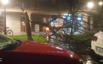 Kalteak eragin dituzte bart izandako haizeteek