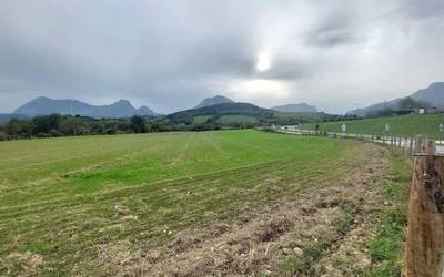 Durangoko ortu ludikoek 30 partzelatik gora izango dute