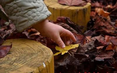 Domekan, dozenaka argazkilarik bat egingo dute Soraluzen