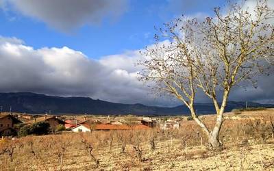 Adi, elurra pilatuko ote den