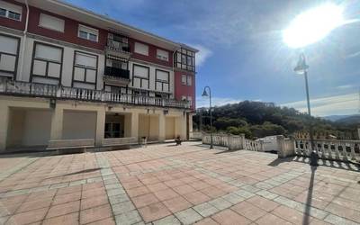 Berrizko Udalak Margarita Maturanako etxe bi salgai ipini ditu