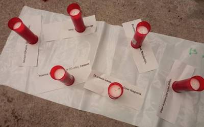 A25eko manifestuak, baso baliabideen zentroa eta sutea Altsasun