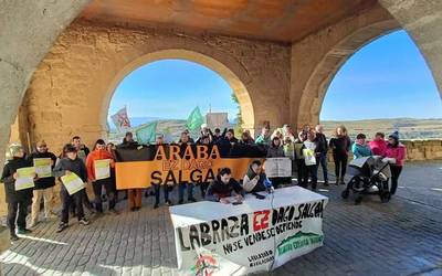 Labrazako zentral eolikoa berehala gelditzeko eskatu dute kontzejuak eta hainbat eragilek