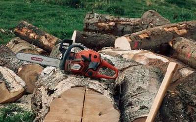 Tradiziotik berritasunera: Euskal Timber