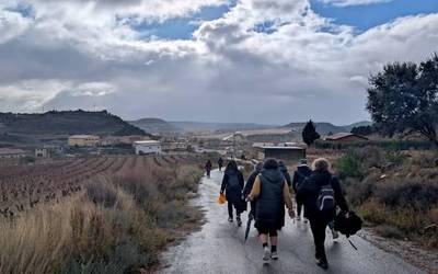 Egurats argitsuagoa bidean