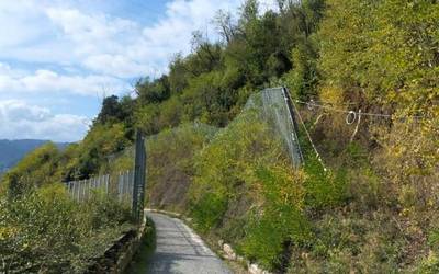 Boluko maldan desbrozatze eta zuhaitz mozketa lanak hasiko dituzte bihar