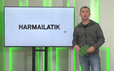 Harmailatik (2025-12-01)