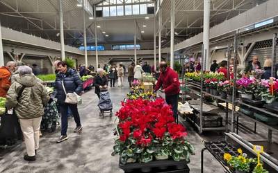 Baserritarren zapatuetako azoka hornidura merkatuan egonkortuko dute behin betiko