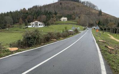 Hilerri osteko herri-sarreran zeuden hamazazpi zuhaitzak bota ditu Aldundiak