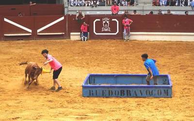 Tauromakiaren legea uxatu dute