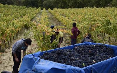 "Aberastasunaren" paradoxak