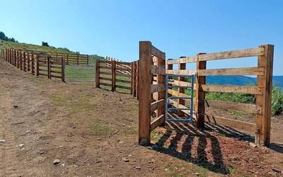 [ARGAZKIAK] Baserri auzoetan eta mendian lanak egin ditu Arantzako Udalak