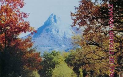 Etxarriko abesbatzaren diskoa