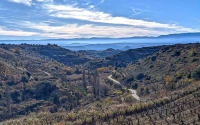 Itxura aldatu asmo du