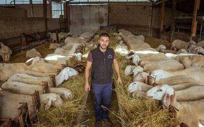 Abeltzaintzaren erromantiko berriak