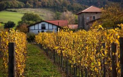 Aiaraldeko Kuadrillak bere apustu turistikoa indartu du “Txakolinaren Ibilbidearen” Elkartean sartzearekin eta HTA Mahaia sortzearekin