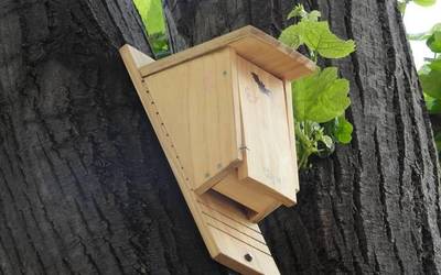 Habia-kutxak egiteko tailerra antolatu du Getxoko Ingurumen Unitateak