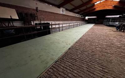 Berangoko Udalak plataforma berri bat jarri du probalekuan