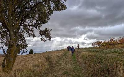 Erresuma zaharraren mugetan