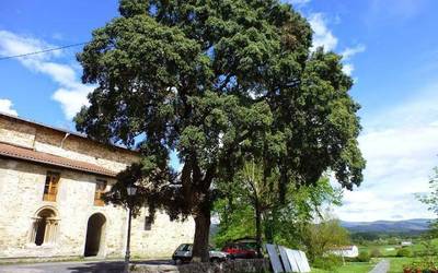 Amurriok Administrazio Batzarren finantziazioa indartu du 200.000 euroko partida batekin