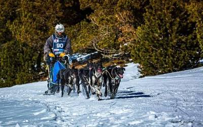 Harkaitz Aizpurua: "Buruhauste asko dakartza musghingak, baina merezi du"