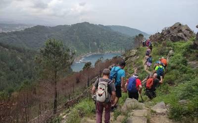 Garalurren turismo arloko kontratazioa, Arbizuko kiroldegia eta Altsasun mantentze lanetarako ofiziala