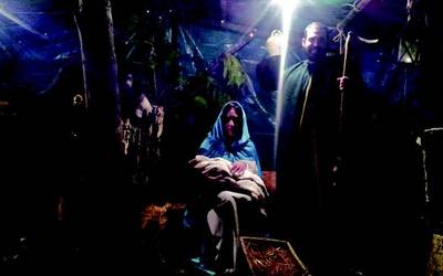 Haragitzen diren jaiotzak